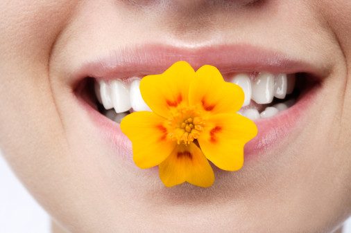 Close-up of young woman with flower in mouth