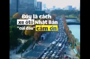 Đây là cách mà xe ôtô ở Nhật Bản cúi đầu cảm ơn