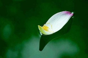 Mỗi niệm thiện ác xuất ra đều có quỷ thần gi chép trong sổ công tội