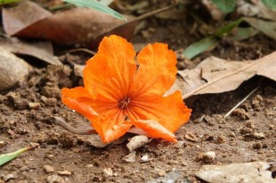 Câu chuyện về luân hồi: Chuyển kiếp ngắn ngủi rồi lại trở về nhục thân