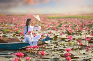 Sự dịu dàng của người phụ nữ là hạnh phúc một đời của người đàn ông