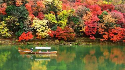 Người thông minh sẽ biết điểm dừng, kẻ khôn vặt chỉ giỏi mưu mô