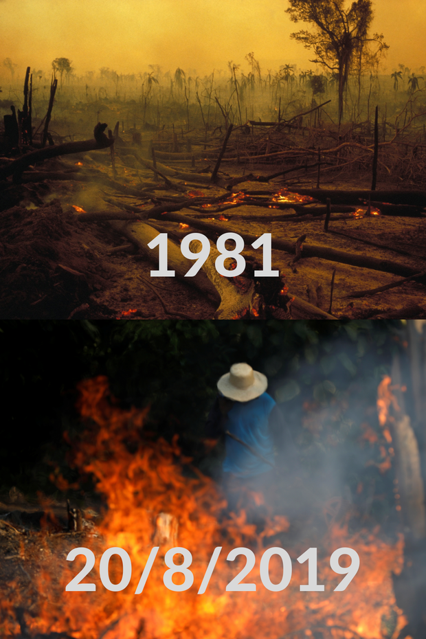 Loạt ảnh Amazon trước và sau đại nạn cháy rừng 2019: Lá phổi xanh ngày nào đã mang đầy bệnh tật do con người đầu độc - Ảnh 3.