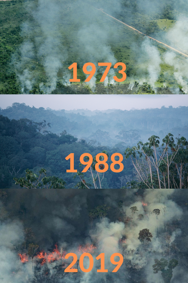 Loạt ảnh Amazon trước và sau đại nạn cháy rừng 2019: Lá phổi xanh ngày nào đã mang đầy bệnh tật do con người đầu độc - Ảnh 5.