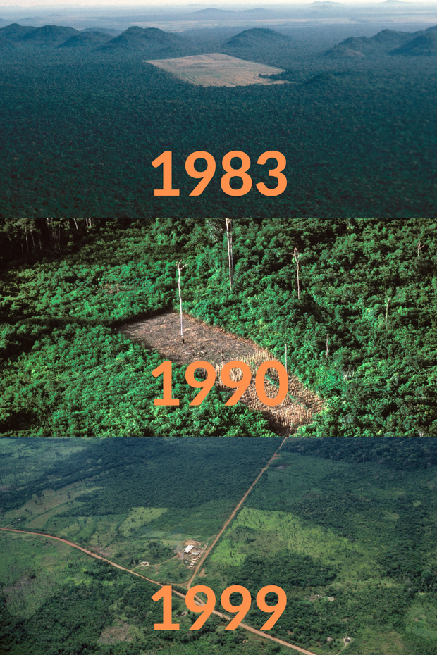 Loạt ảnh Amazon trước và sau đại nạn cháy rừng 2019: Lá phổi xanh ngày nào đã mang đầy bệnh tật do con người đầu độc - Ảnh 8.