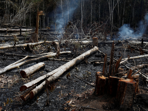 Loạt ảnh Amazon trước và sau đại nạn cháy rừng 2019: Lá phổi xanh ngày nào đã mang đầy bệnh tật do con người đầu độc - Ảnh 11.