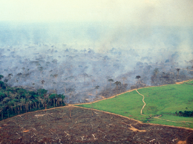 Loạt ảnh Amazon trước và sau đại nạn cháy rừng 2019: Lá phổi xanh ngày nào đã mang đầy bệnh tật do con người đầu độc - Ảnh 9.