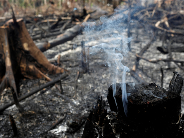 Loạt ảnh Amazon trước và sau đại nạn cháy rừng 2019: Lá phổi xanh ngày nào đã mang đầy bệnh tật do con người đầu độc - Ảnh 12.
