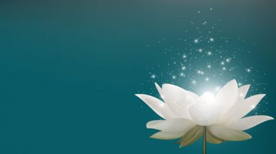 Hồi phục thần kỳ khỏi căn bệnh ung thư tụy