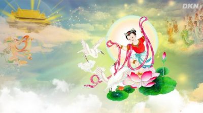 Nước mắt và sự từ bi của Phật