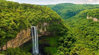 Về nền văn minh cổ xưa của sông Amazon