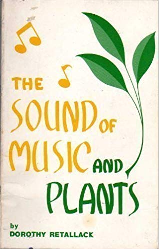 Khám phá thú vị: Thực vật thích nghe nhạc cổ điển và ghét nhạc rock. Ảnh 1