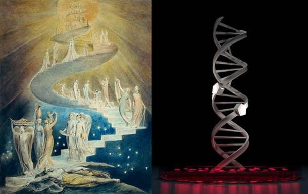 Sự tương đồng ngẫu nhiên giữa chiếc thang lên Trời trong Thánh Kinh và chuỗi xoắn kép DNA - ảnh 4