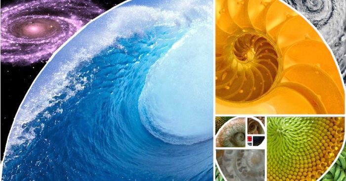 Bí ẩn Tỉ lệ vàng Ф – mật mã của vũ trụ (P1)