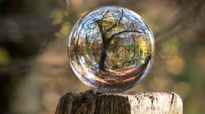 Ý tưởng “vạn vật đều có ý thức” ngày càng được ủng hộ