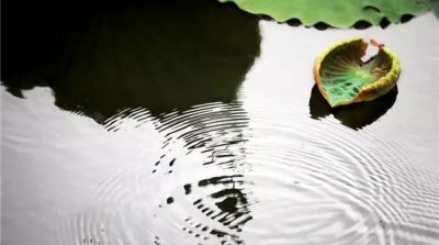 Lời Phật dạy: Khát nước 3 ngày, cũng chỉ lấy 1 hồ lô