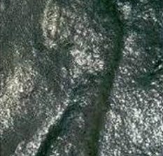 Bí ẩn dấu chân người 290 triệu năm tuổi khoa học chưa lý giải được