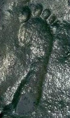 Bí ẩn dấu chân người 290 triệu năm tuổi khoa học chưa lý giải được