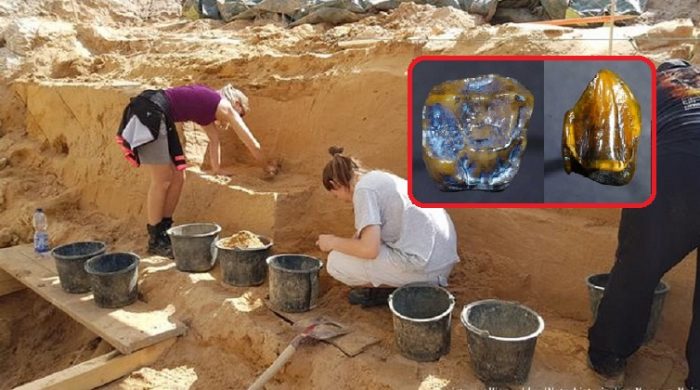 Răng hóa thạch 9,7 triệu năm tuổi ở Đức đặt lại câu hỏi về nguồn gốc loài người