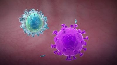 Cập nhật về virus Corona từ Trung tâm Kiểm soát và Phòng ngừa Dịch bệnh Hoa Kỳ