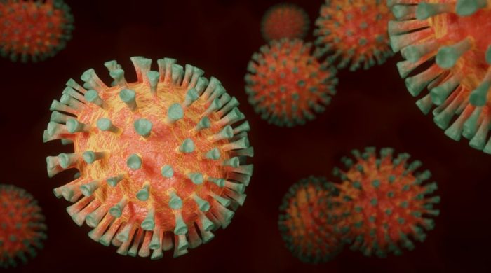 Nghiên cứu cho thấy virus Corona Vũ Hán đã đột biến thành ít nhất 30 chủng khác nhau