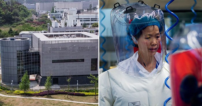 Cơ sở dữ liệu của ‘người đàn bà dơi’ tại Viện Virus học Vũ Hán đã bị sửa đổi