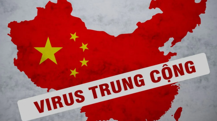 Chín tháng với COVID-19: Những điều chúng ta đã và chưa biết về chủng bệnh này